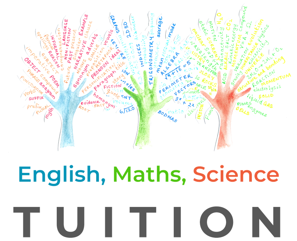 Learn to Excel's original hand-painted English, maths and science tree logo
